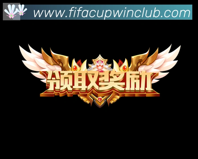 未来规划